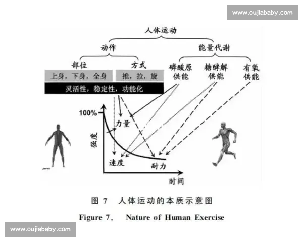科学高效提升运动表现的全方位体育训练动作指南