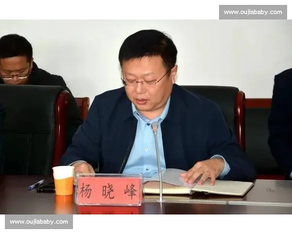 提升体育组织运营效能的策略与管理机制研究探索